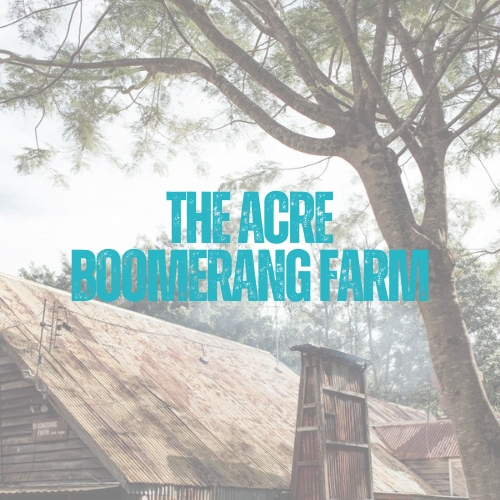 The Acre Gold Coast Wedding Venue The Acre Boomerang Farm